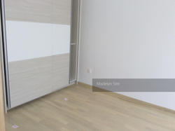 Palacio (D15), Terrace #149350422
